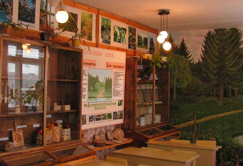 музей леса в токсово. кладбище токсово. северный склон домики. музей леса в токсово. токсово ул гагарина 22.